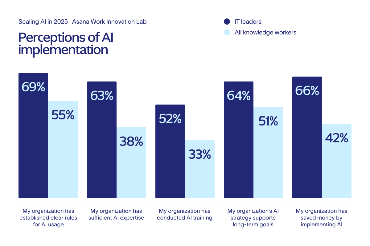 perceptions of ai implementation