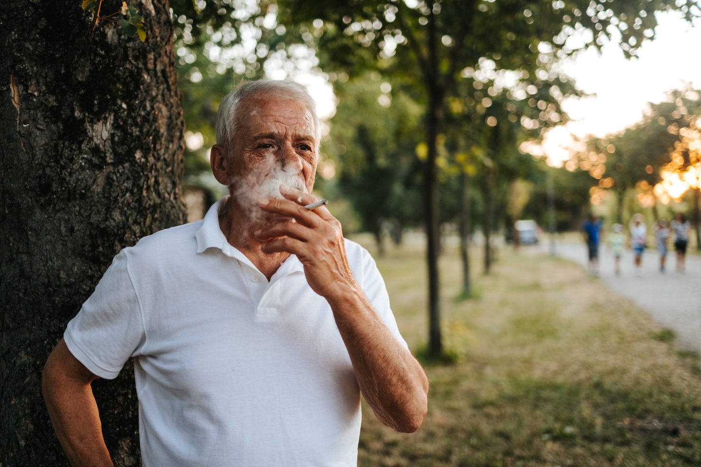 An estimated 35 percent of France's population are smokers -- higher than the averages for Europe (25 percent) and the world (21 percent), according to the World Health Organization.