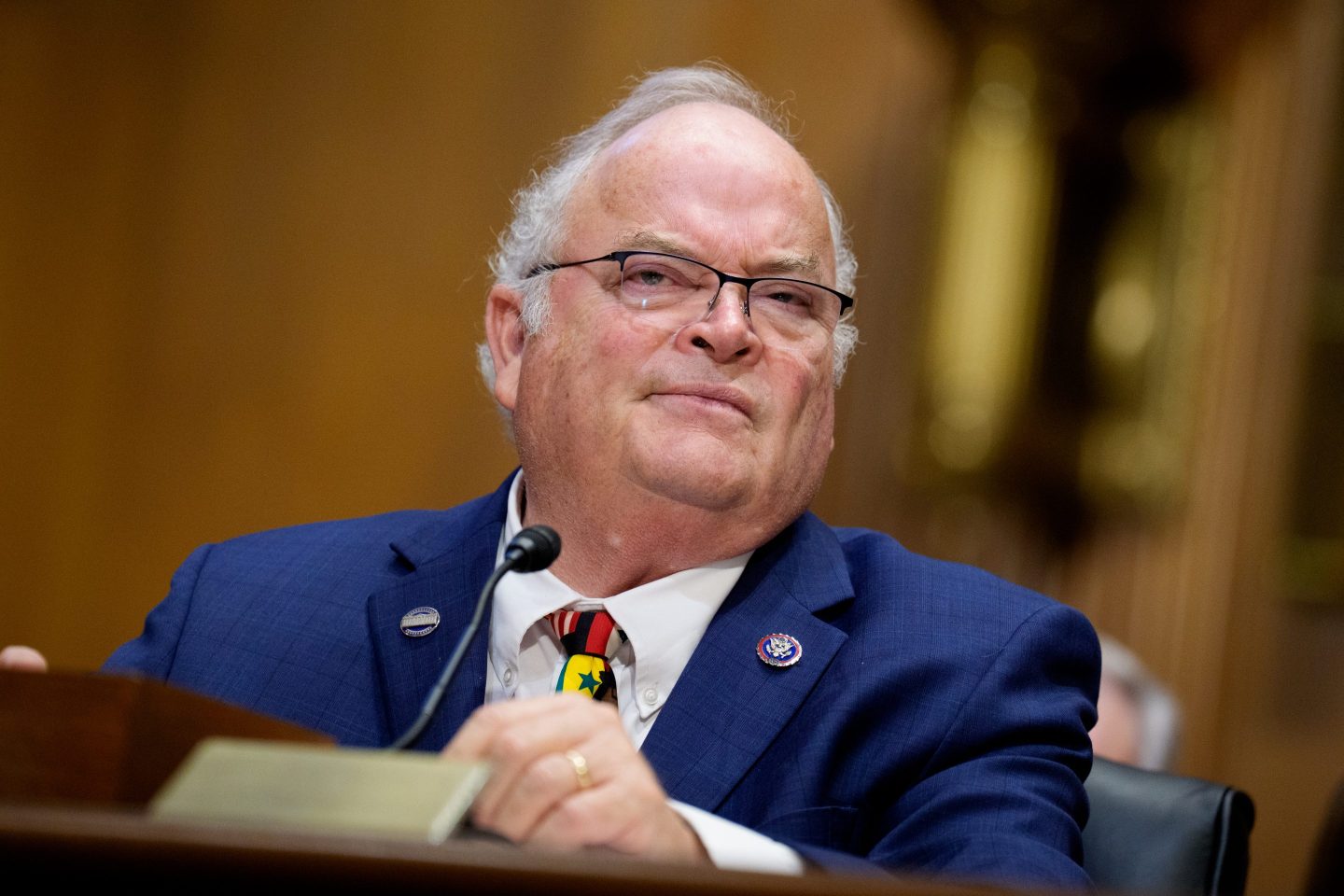 Billy Long before the Senate