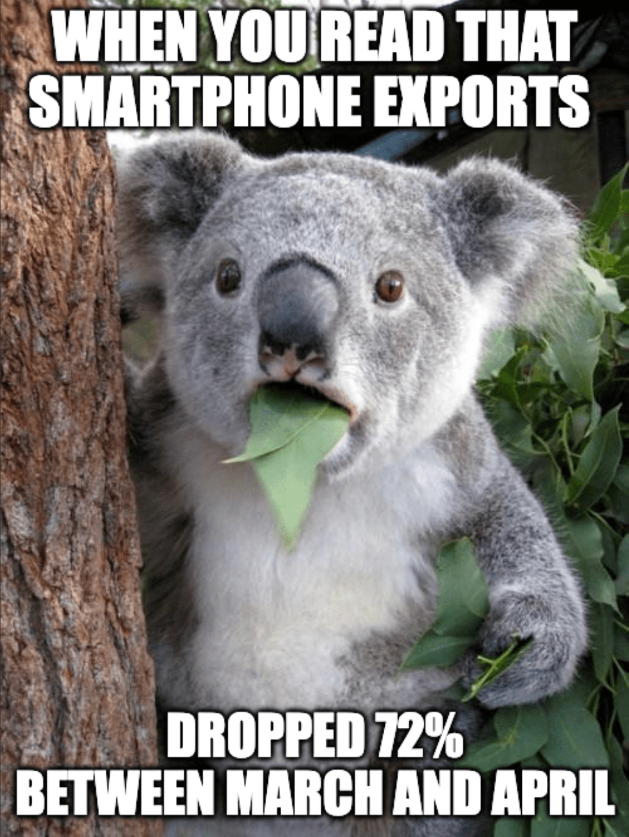A "surprised koala" meme with the caption, "When you read that smartphone exports dropped 72% between March and April"