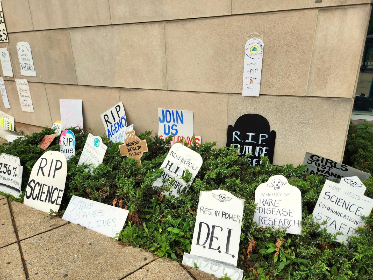 Hundreds of NIH scientists pen letter criticizing Trump’s deep cuts to public health research