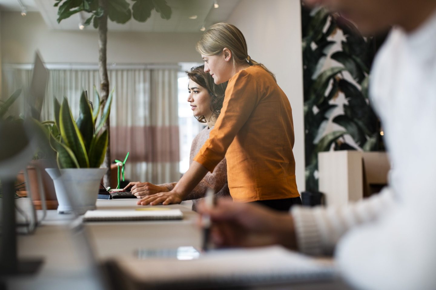 women using a computer at a desk