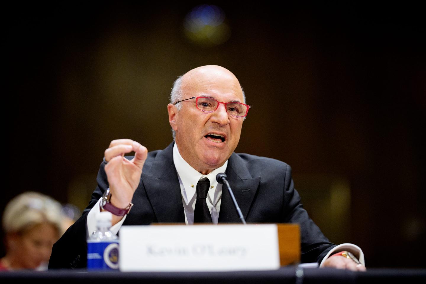 Kevin O'Leary gestures while testifying before Congress