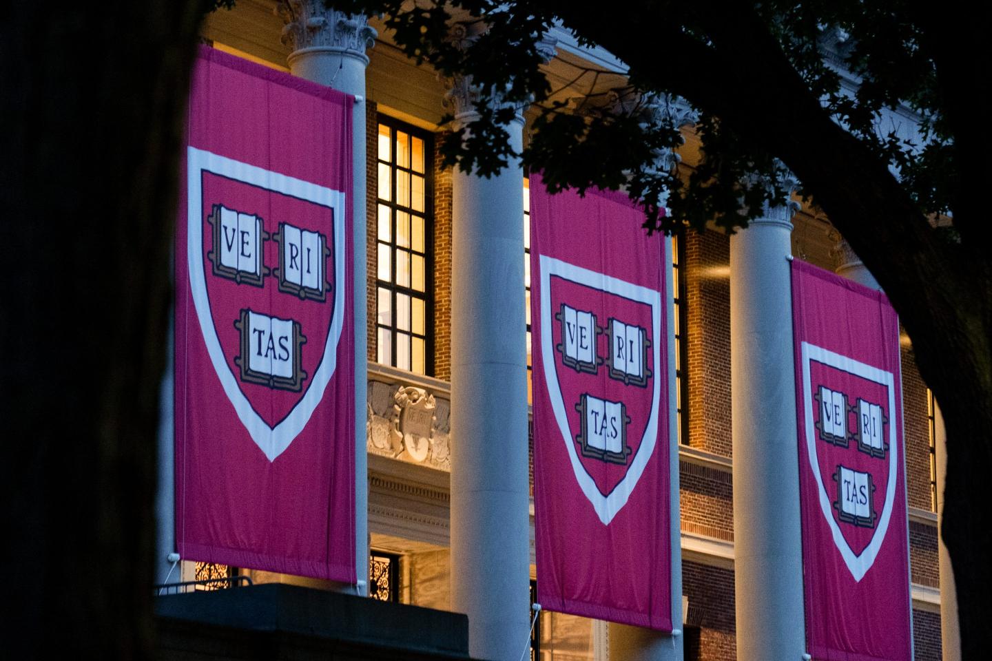 OpenAI and Microsoft are teaming up with Harvard’s libraries to train AI models on 600-year-old books