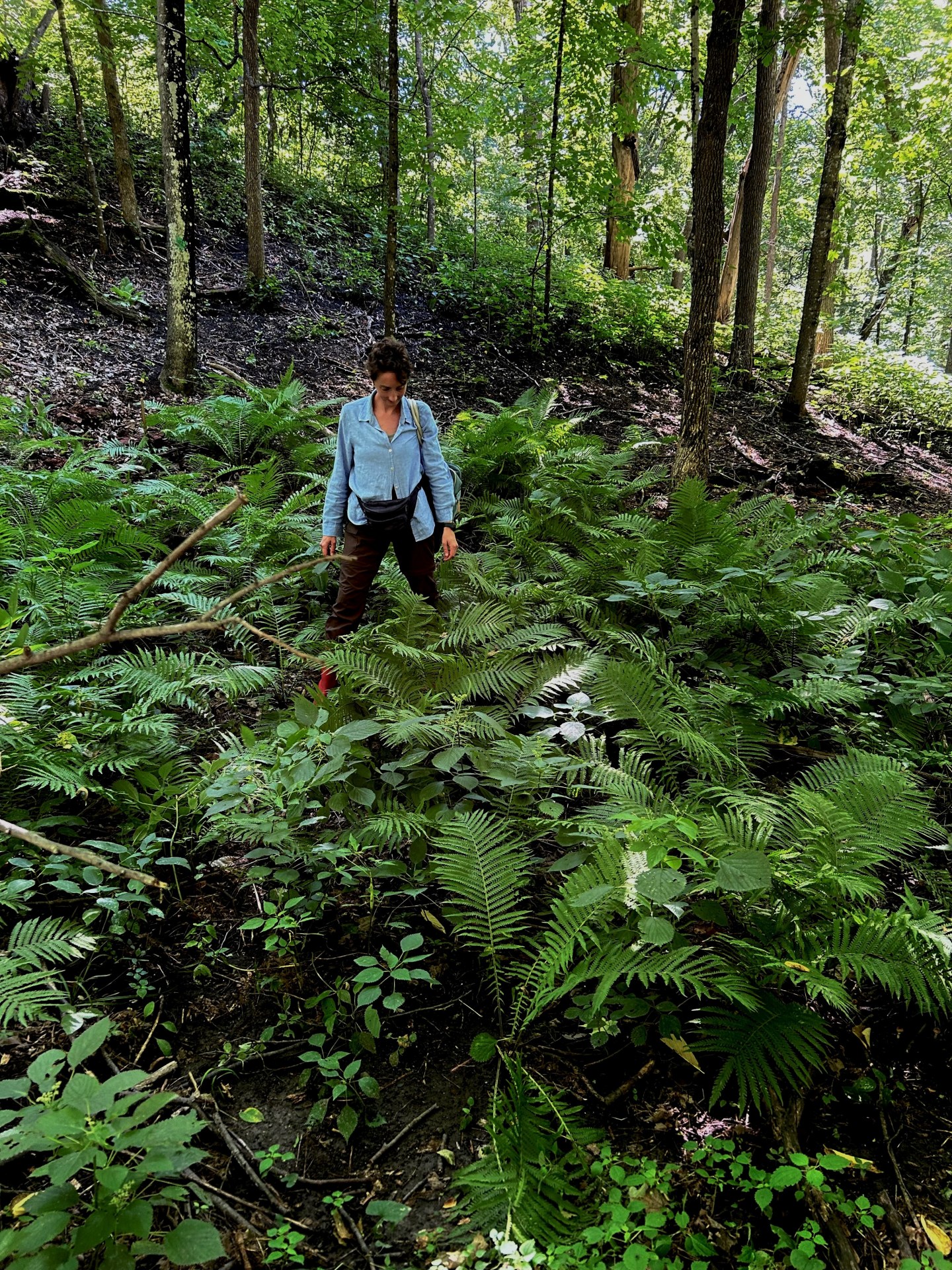 Karyn Tomlinson foraging in the woods