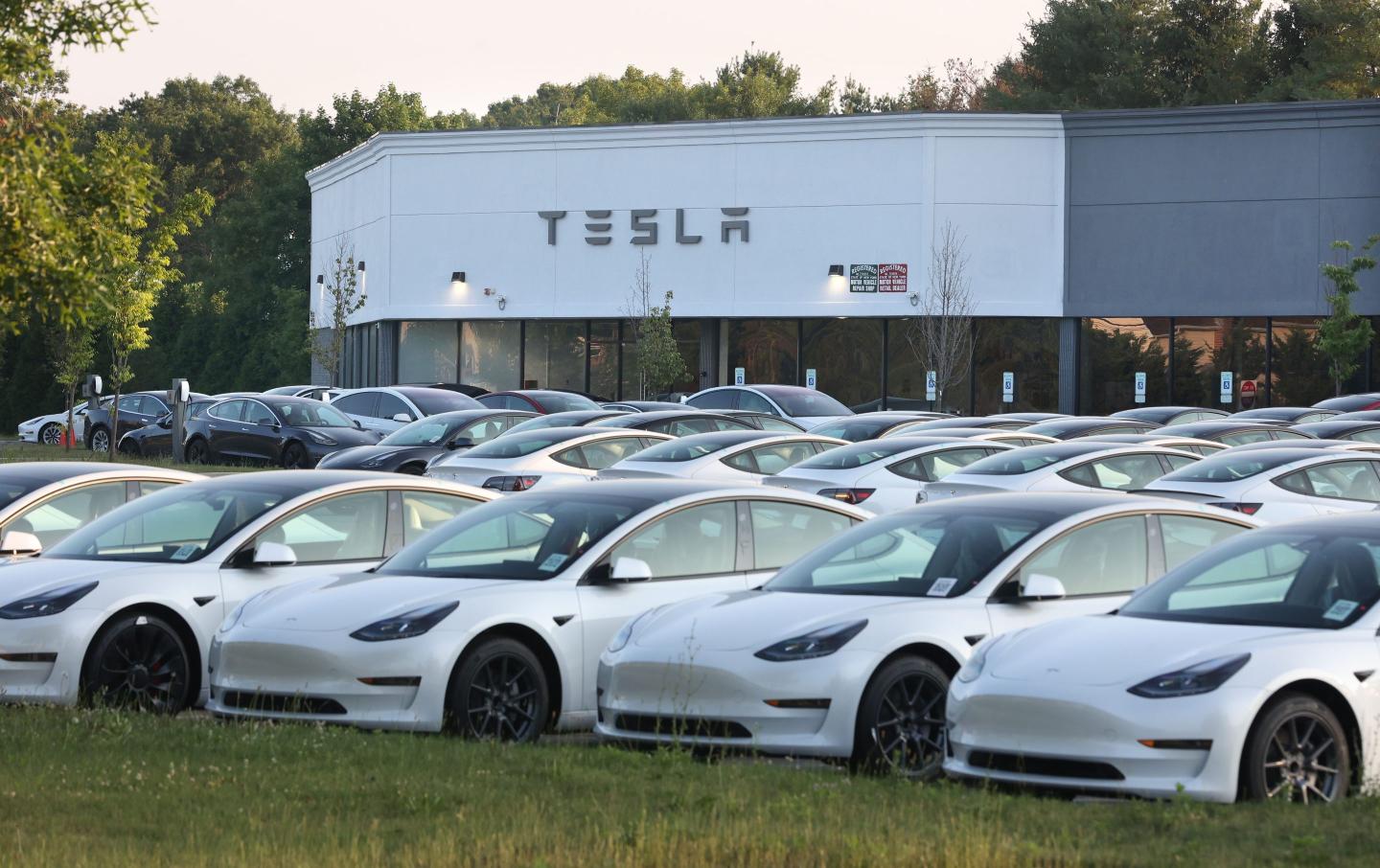 A lot filled with Tesla cars