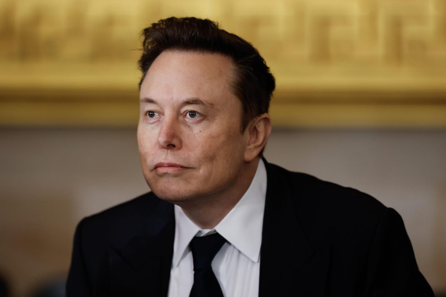 Elon Musk and some Democrats like Reid Hoffman actually share common ground on U.S. debt