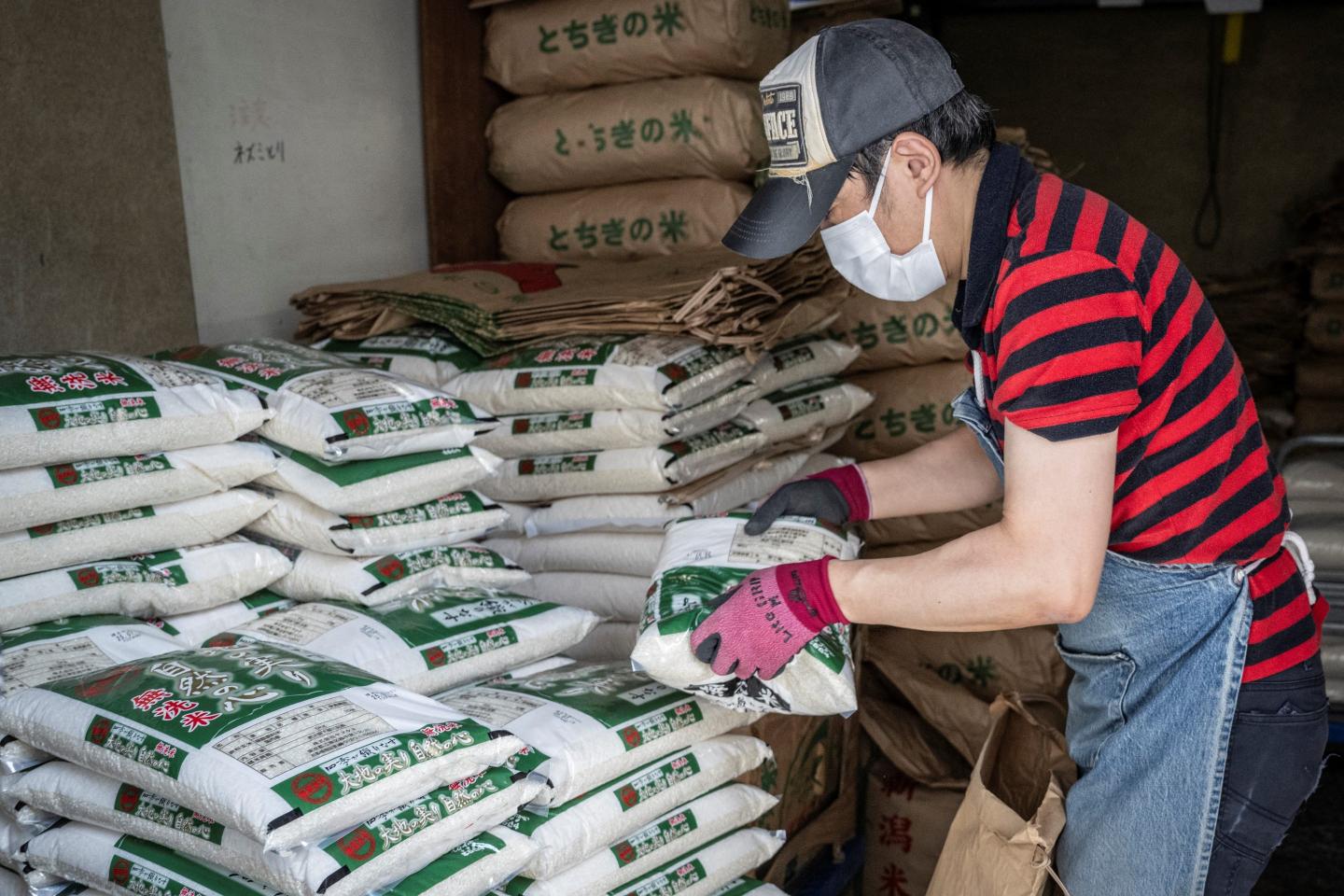 Trump wants Japan to import U.S. rice to cut trade deficit but consumers hate it—American rice ‘tastes awful. It lacks stickiness’