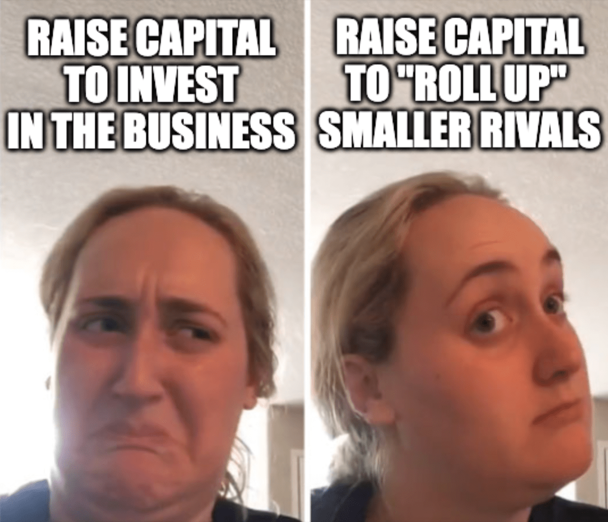 A "Kombucha Girl" format meme with the captions, "Raise capital to invest in the business" and "Raise capital to 'roll up' smaller rivals"