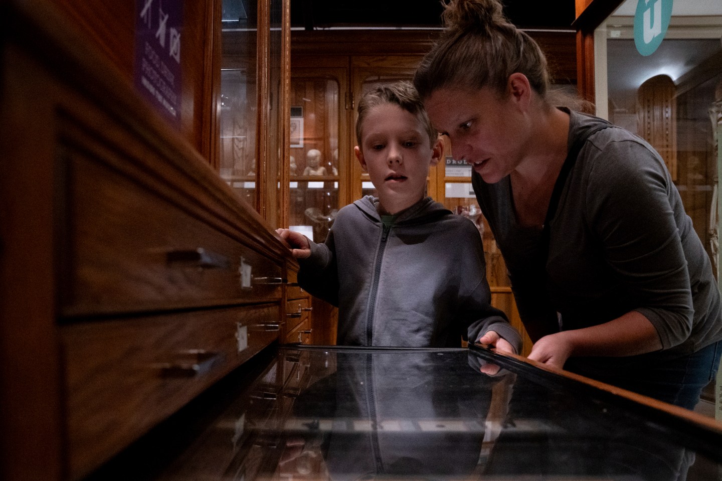 Mutter Museum