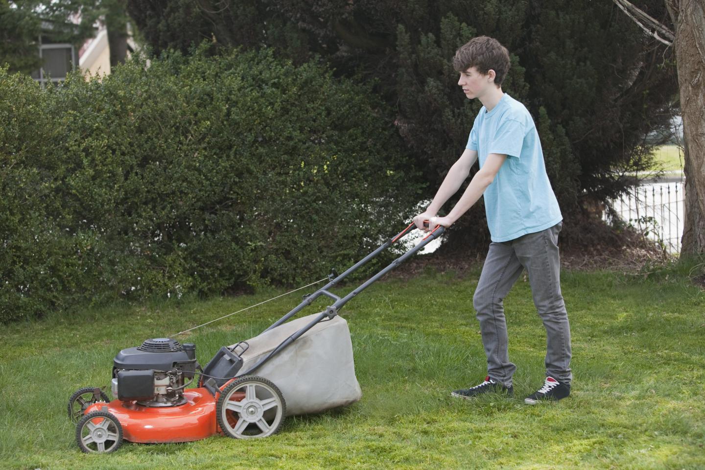 Lawnmower