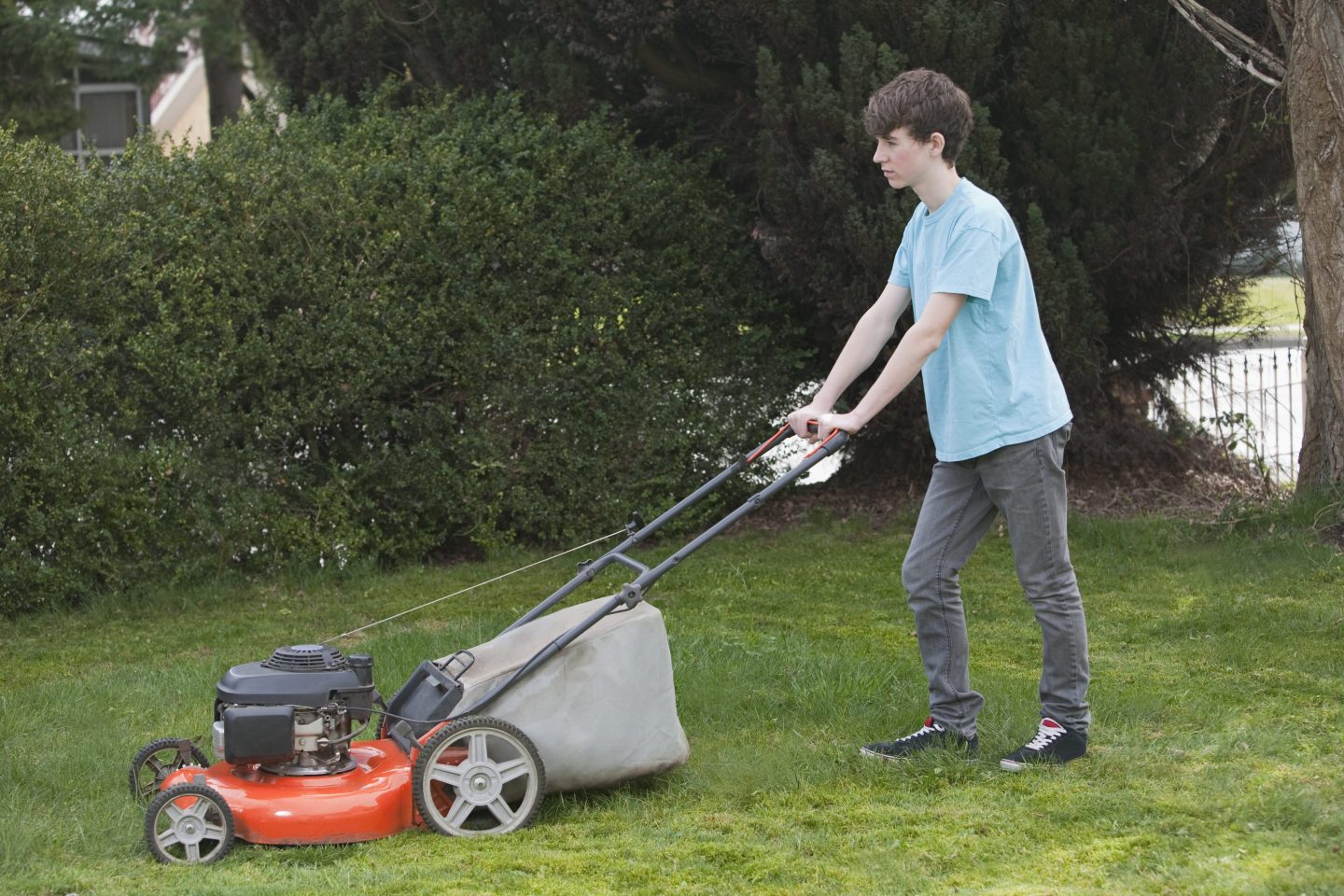 Lawnmower