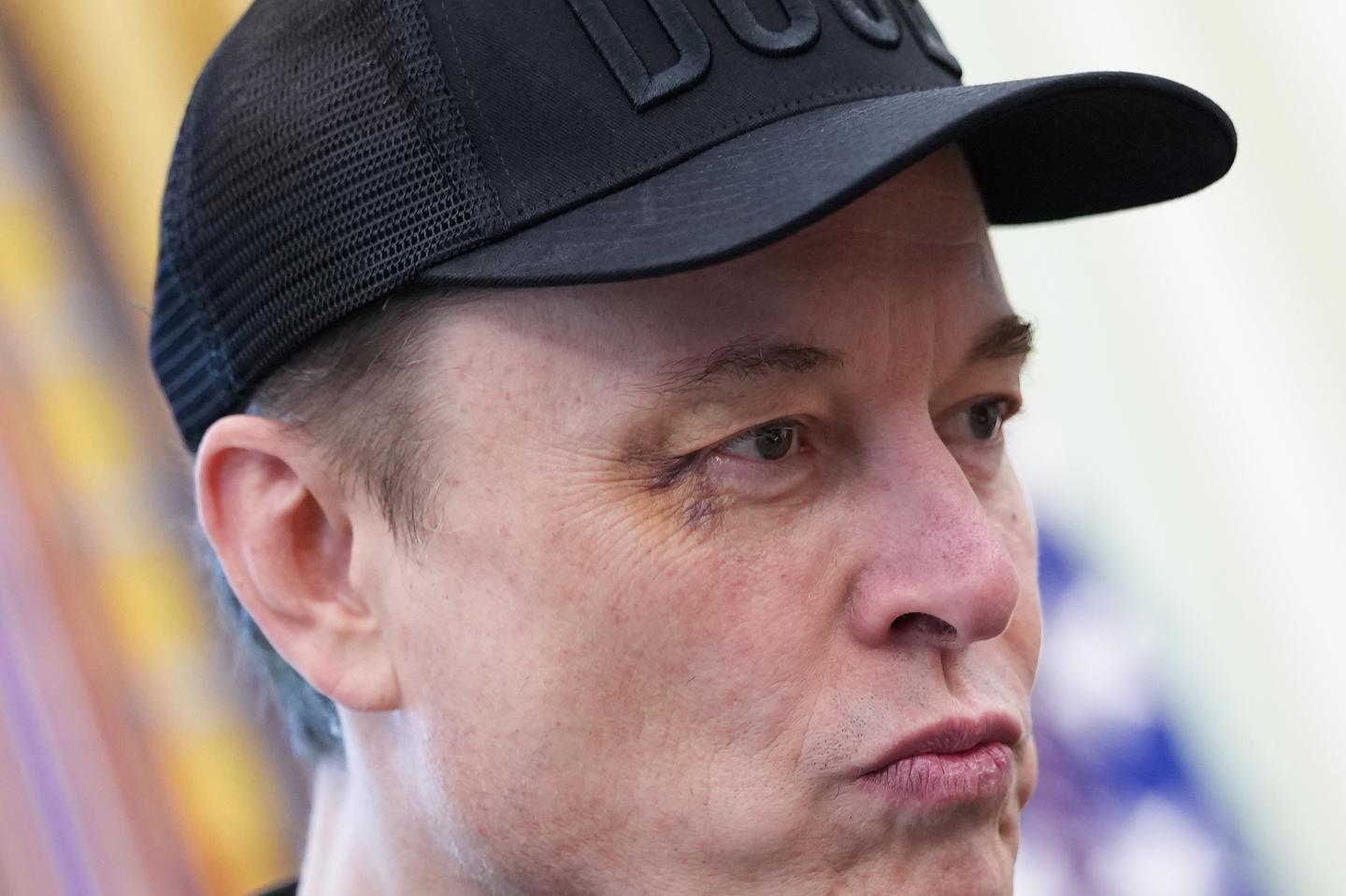 Elon Musk