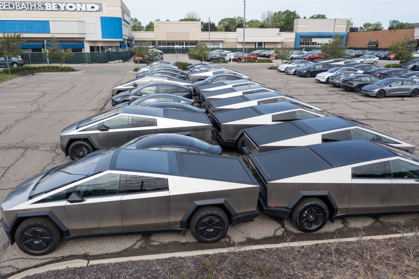 Tesla Cybertrucks parked in a lot