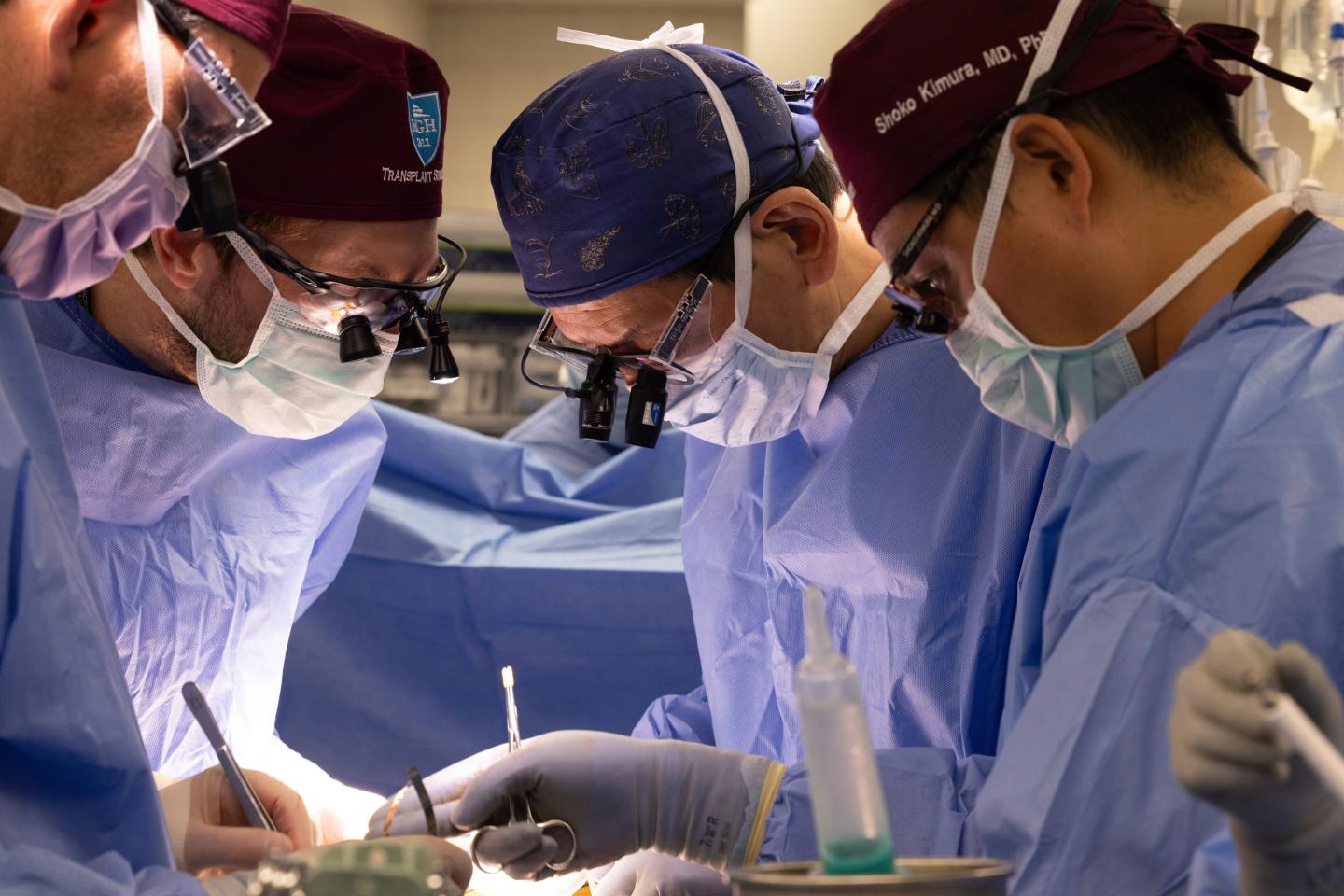 In this photo provided by Mass General Brigham, multiple surgeons in blue scrubs are handling tools to perform a pig kidney transplant. The patient is not shown in the photo.