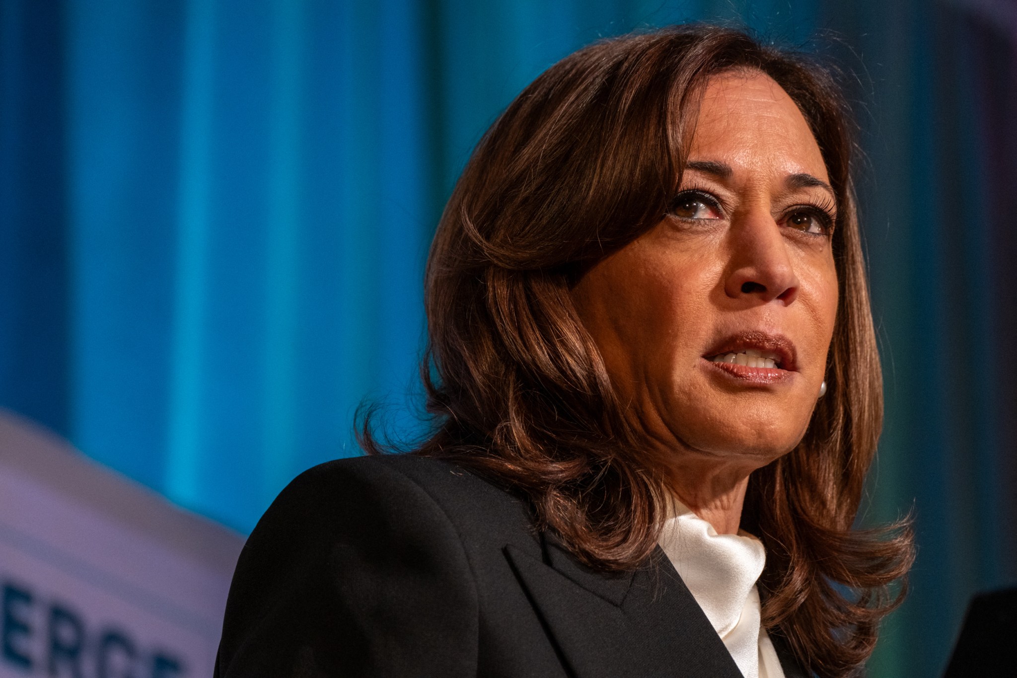 Kamala Harris endorses Zohran Mamdani without saying his name: ‘I support the Democrat in this race’