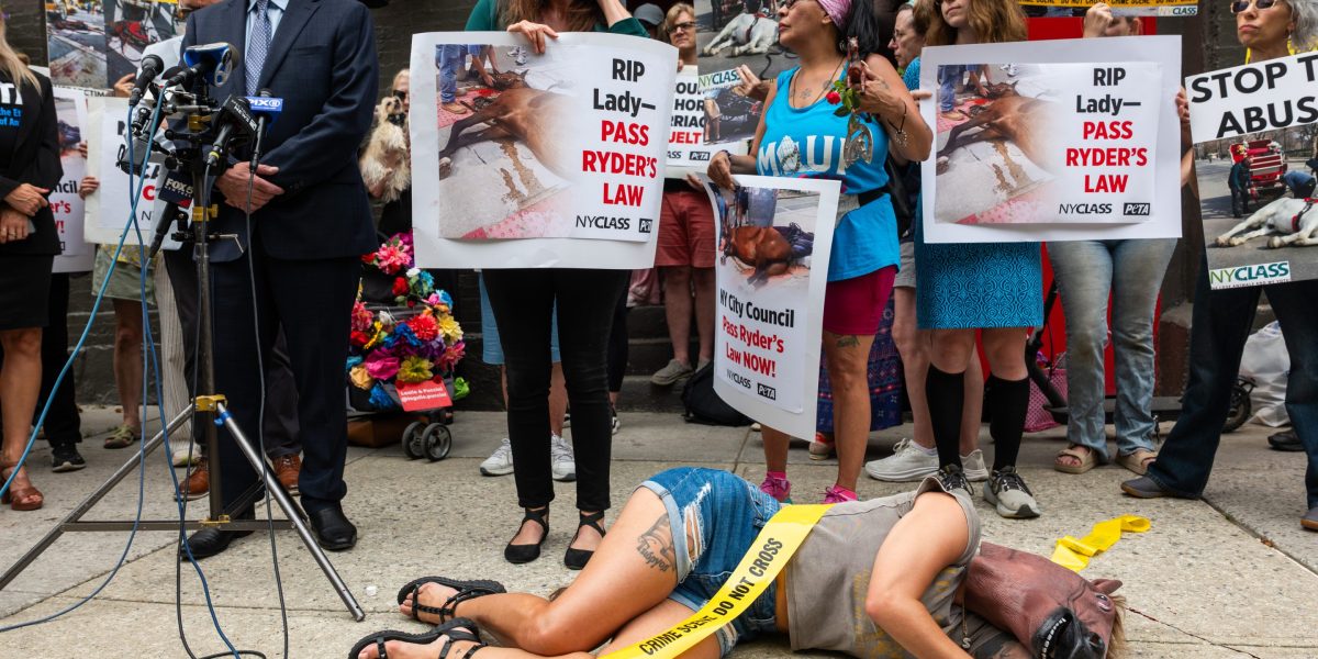 Eric Adams moves to ban 150-year tradition of horse-drawn carriages in Central Park after spree of ponies running free, dying on the job | Fortune