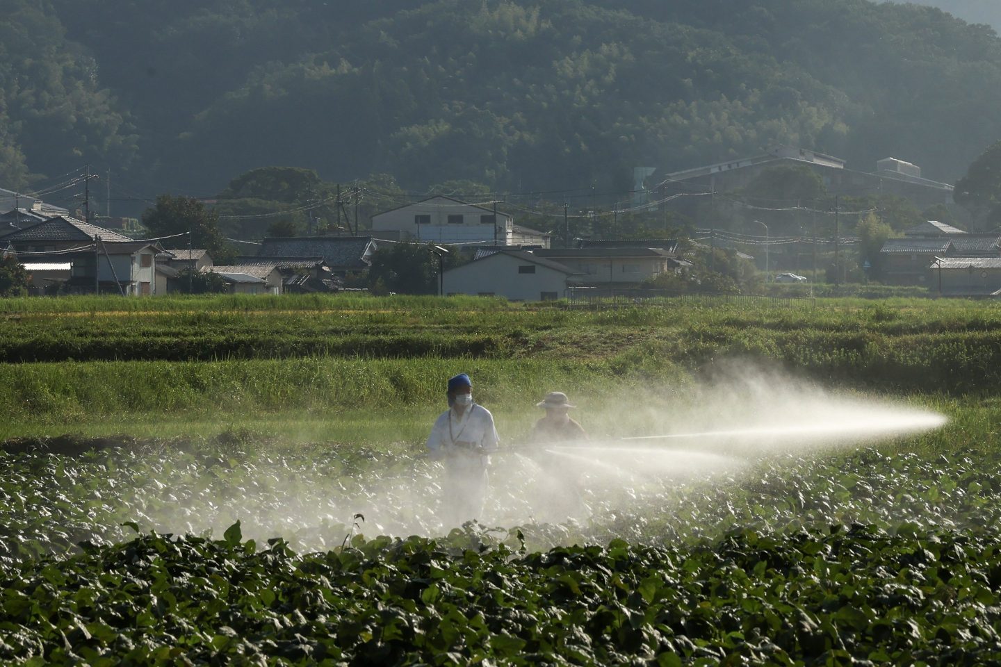 A farmer sprays a field