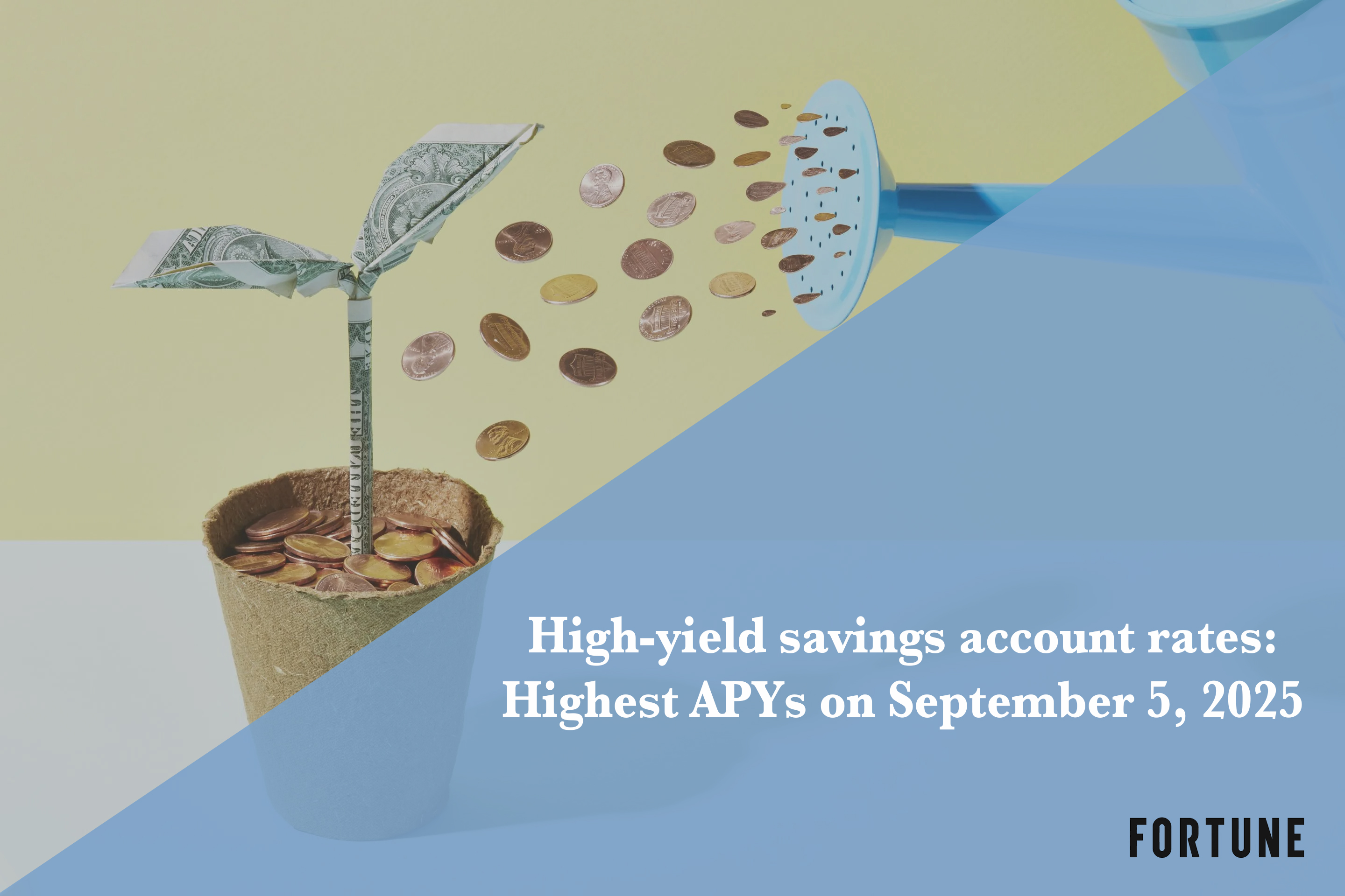 Best high-yield savings account rates Sept. 5, 2025 | Fortune