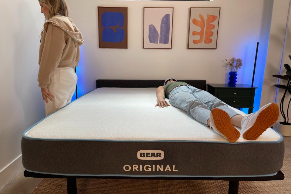 Bear Original Under $1,000