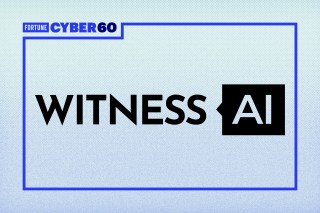 WitnessAI