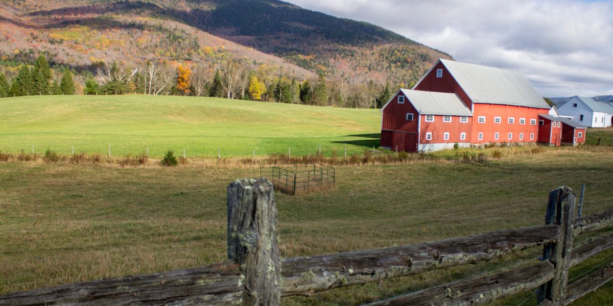 'The color is just not going to be there this year for some hillsides': Autumn leaf peeping pegged back by drought, climate change | Fortune