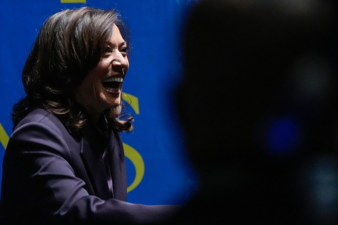 Kamala Harris expects a woman to be president, and says it could ‘possibly’ be her — ‘I’m not done’