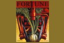 Fortune Archives: The roots of the crises facing American agriculture