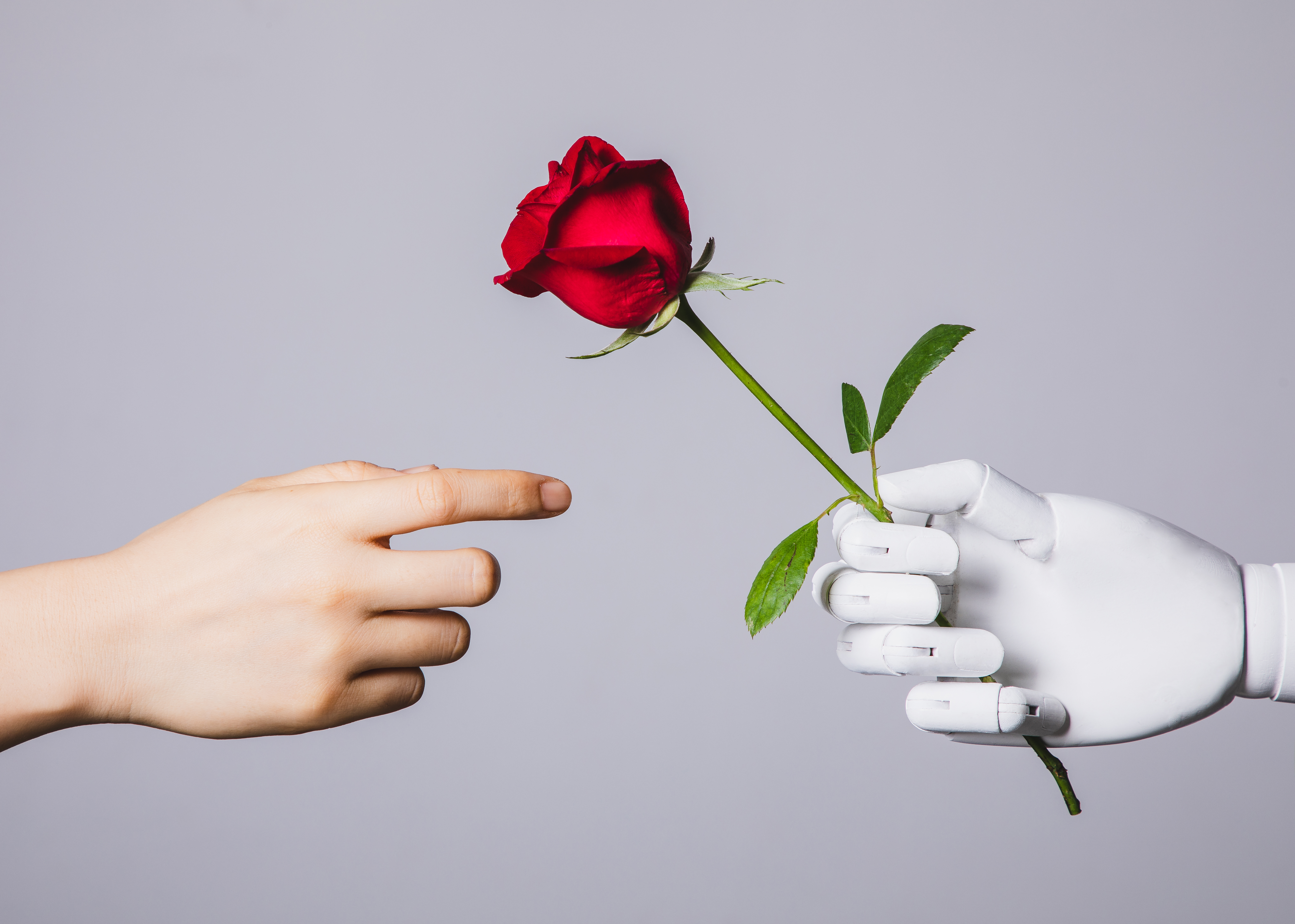 OpenAI na Corda Bamba: ChatGPT Entra em Terreno Erótico e Causa Tensão