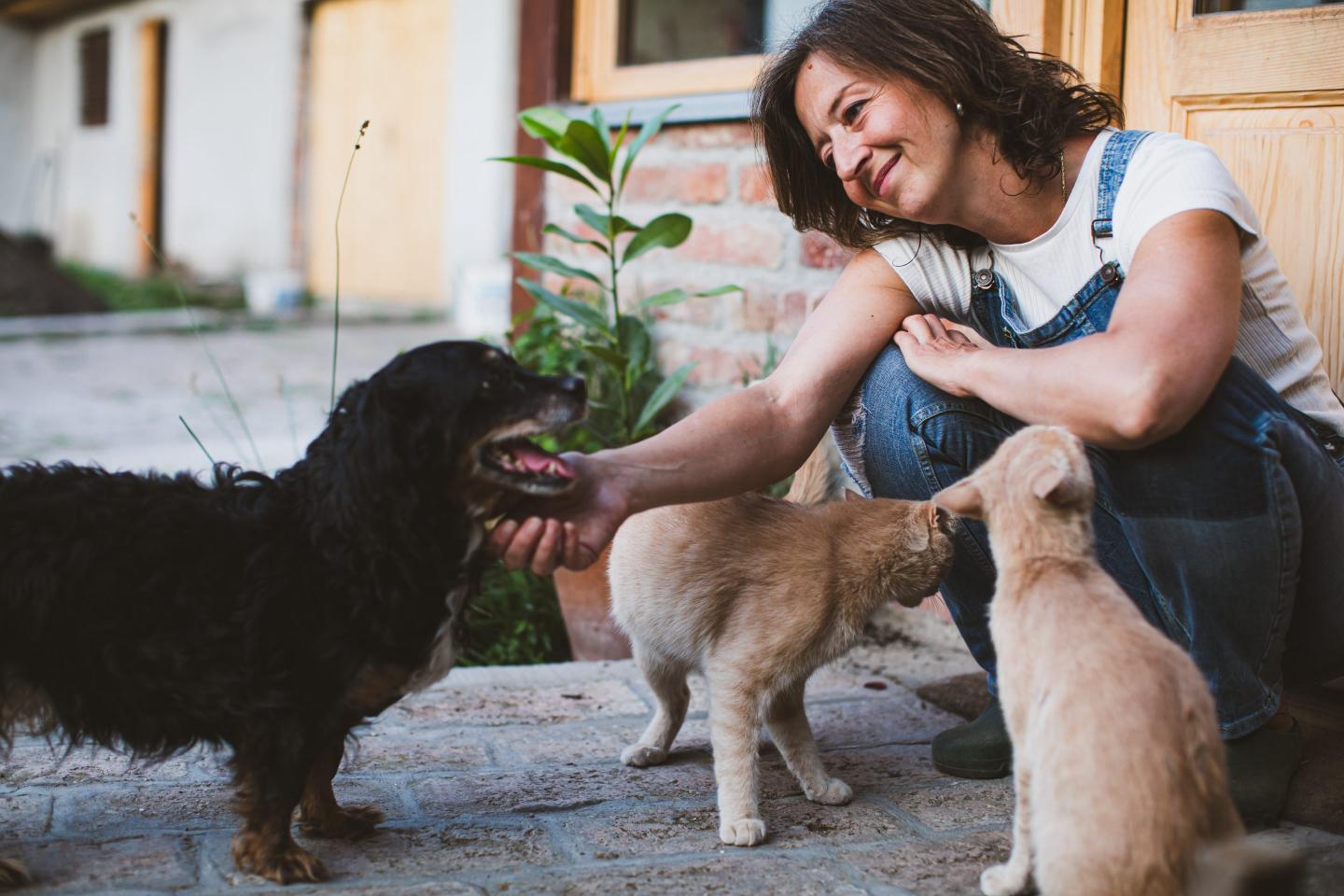 Should you use a personal loan to cover vet bills?