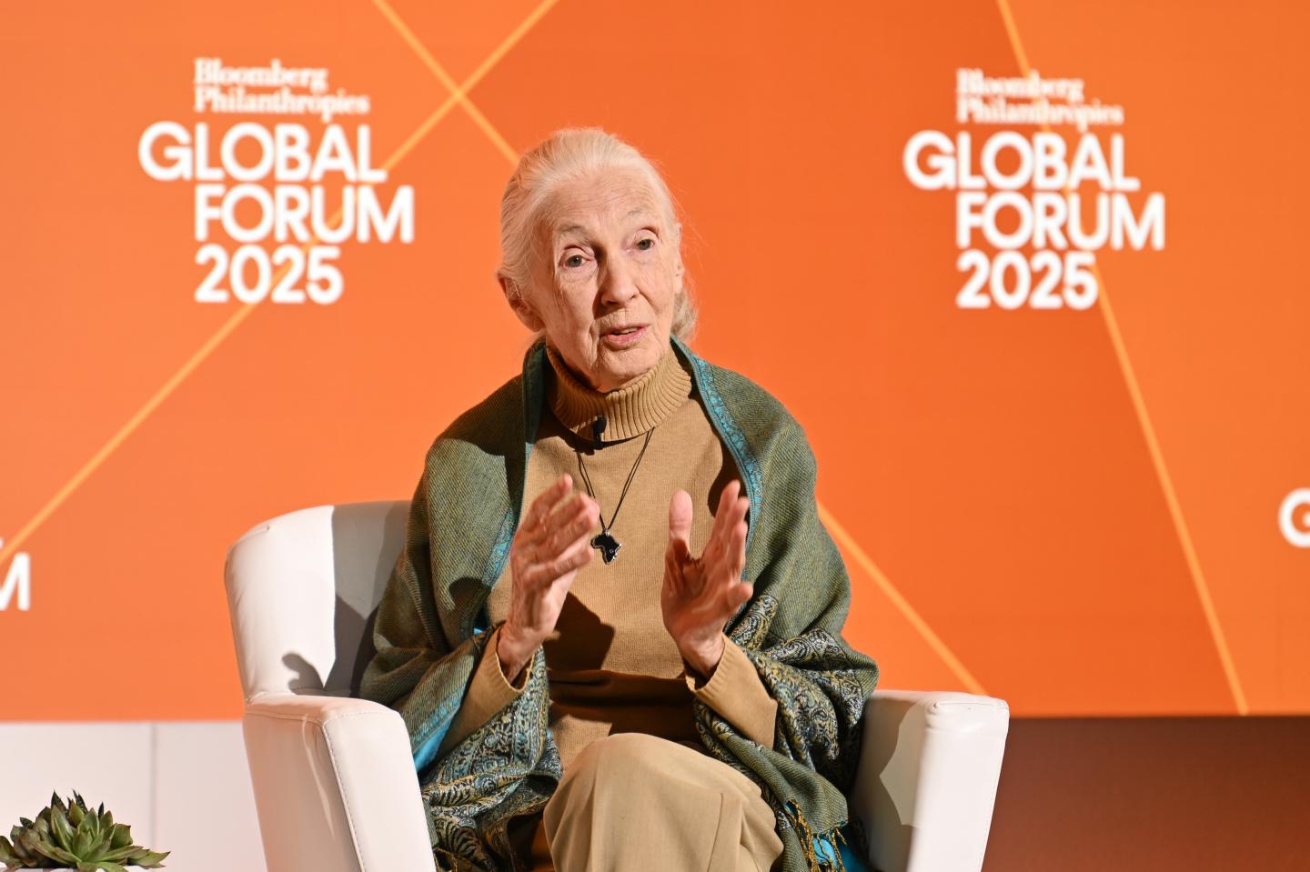 Jane Goodall inspired generations of girls—and transformed her field for women in science