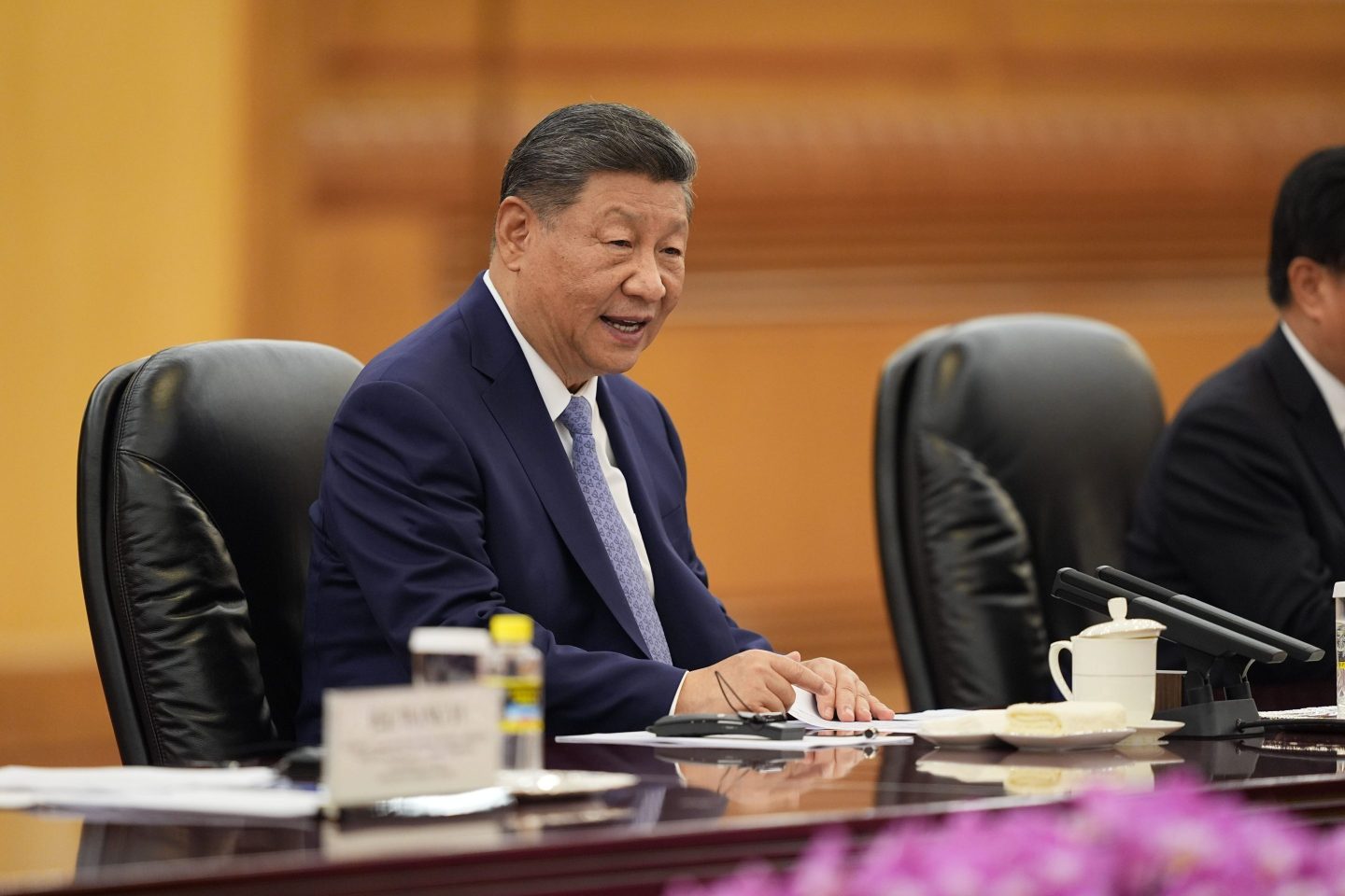 Chinese President Xi Jinping speaks during a meeting with Sri Lanka's Prime Minister Harini Amarasuriya at the Great Hall of the People on October 14, 2025 in Beijing, China.