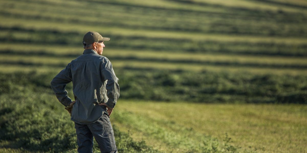 Farm bankruptcies are soaring amid low crop prices, while Trump considers bailout of up to $14 billion