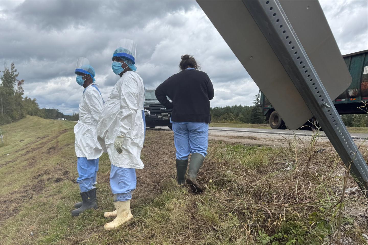 Fearing for her children’s safety, Mississippi woman shoots and kills escaped research monkey