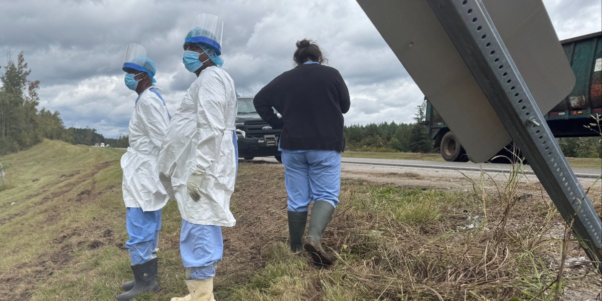 The last monkey on the loose among several that escaped after a Mississippi highway crash has been found and captured | Fortune