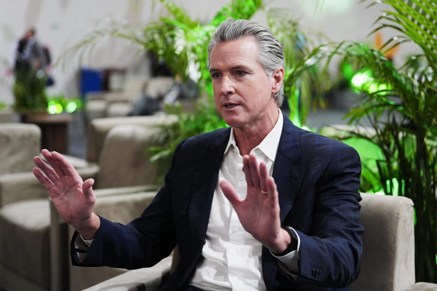 Gavin Newsom