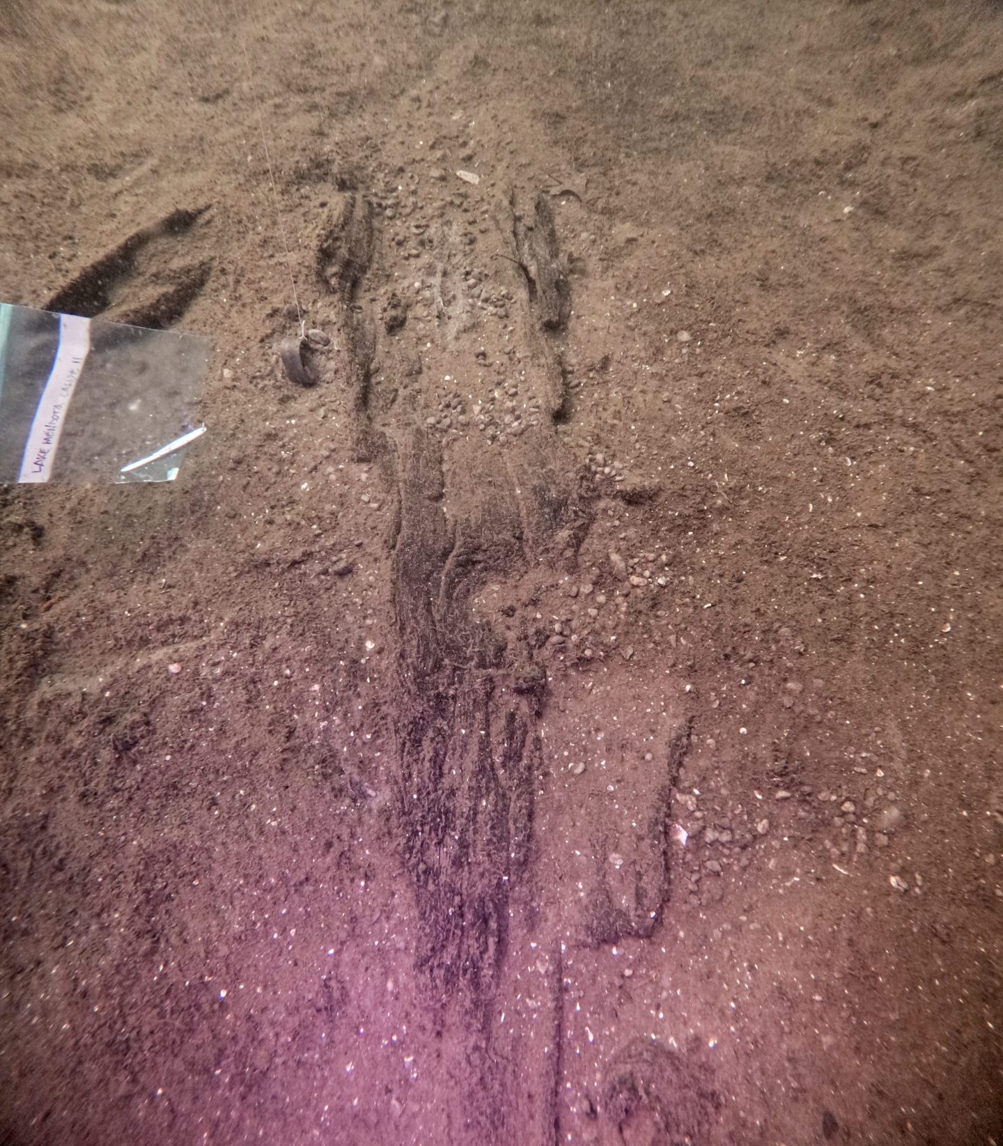 The remains of an ancient canoe sitting on the bottom of Lake Mendota, in Madison, Wis., pictured in June.
