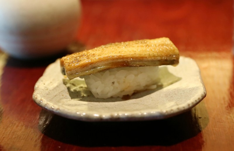 The eel wars: Japan and America fight tooth and nail against new protections as some freshwater populations plunge over 90% from the 1980s