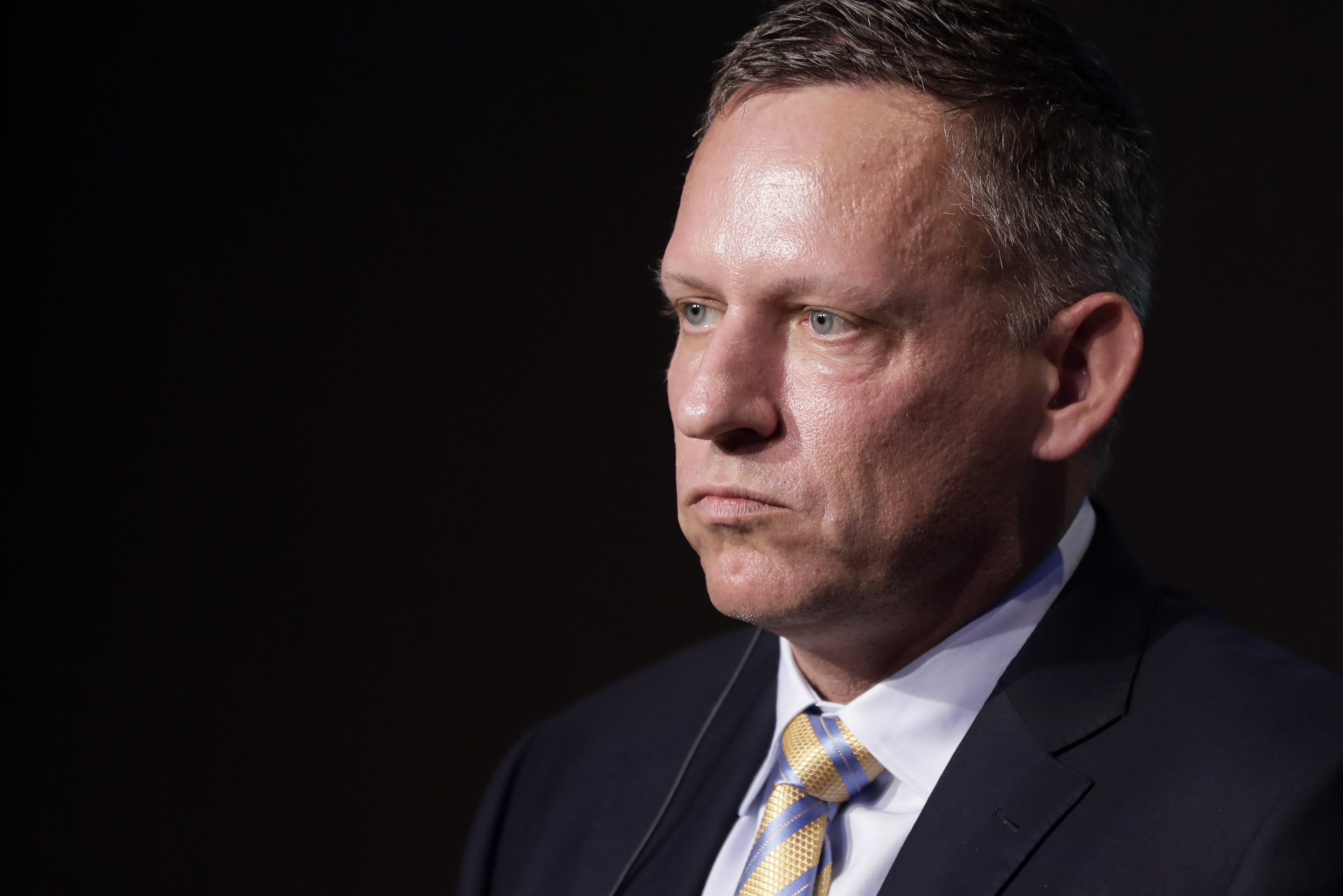 Billionaire Peter Thiel warns if you ‘proletarianize the young people,’ don’t be surprised they end up communist thumbnail