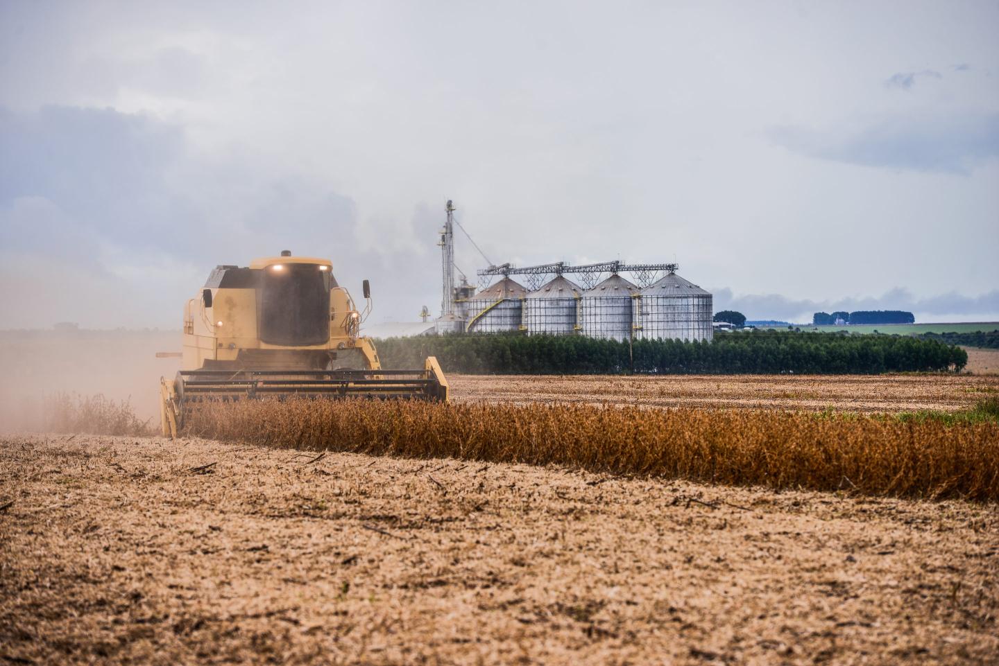 Rural America’s farm economy is struggling with its own K shape, as government payouts rocket to crisis levels