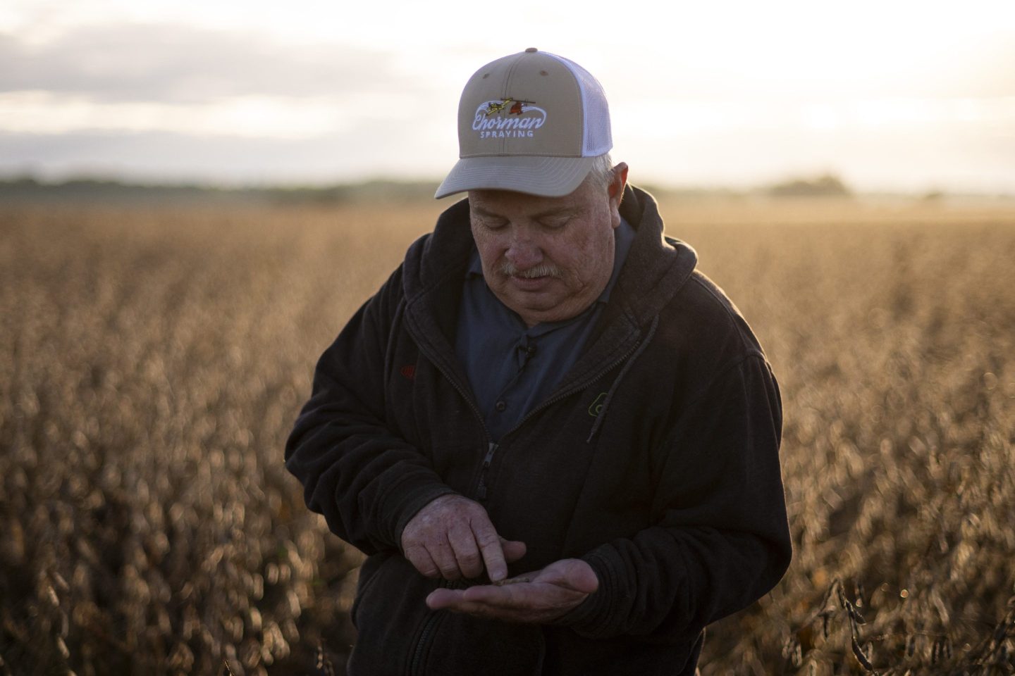 A man stands in a soybean field and looks down at a soybean kernel in his palm.