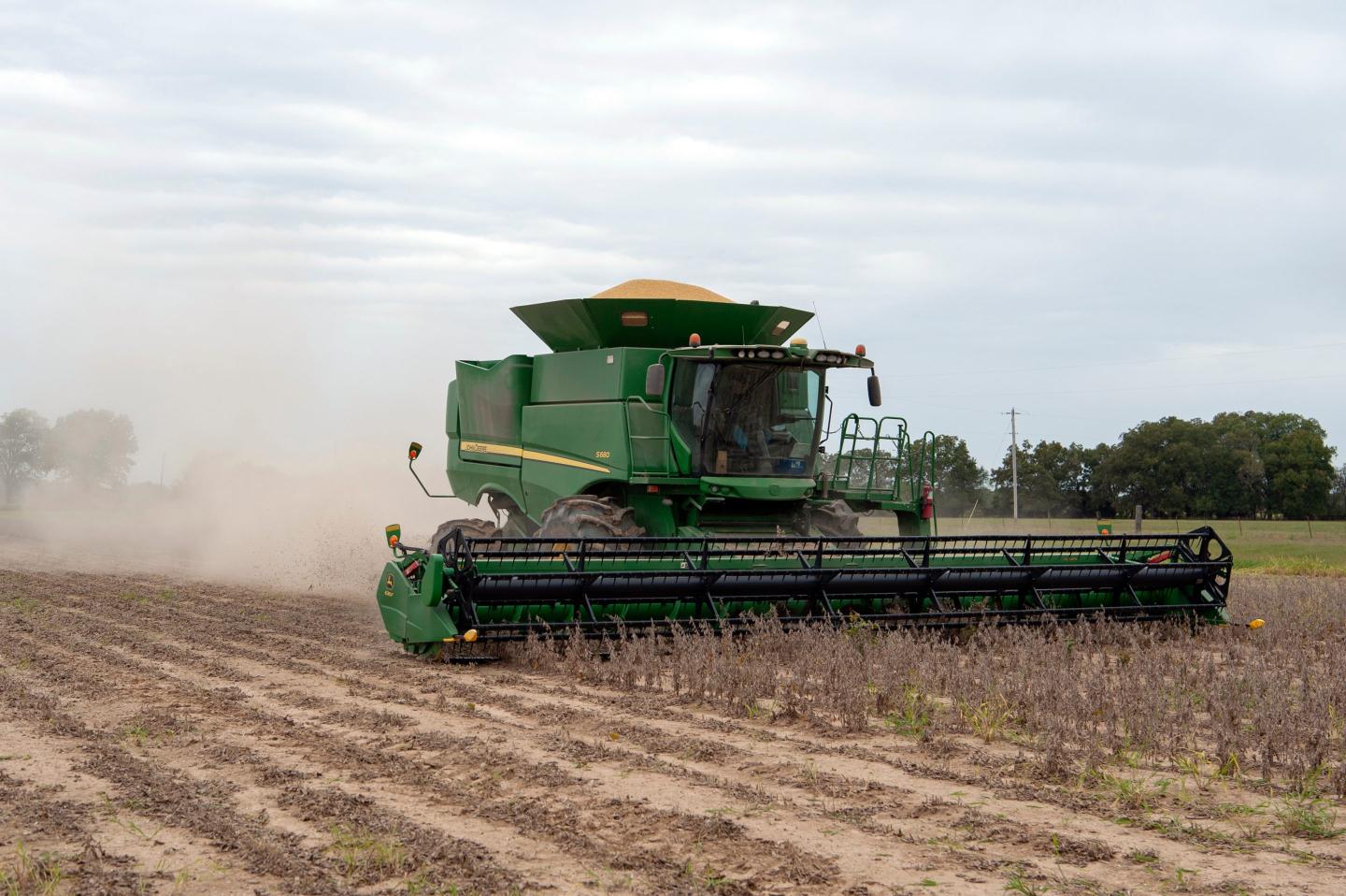 There’s still ‘no evidence’ China is buying all the U.S. soybeans it promised under Trump’s trade deal amid oversupply from South America