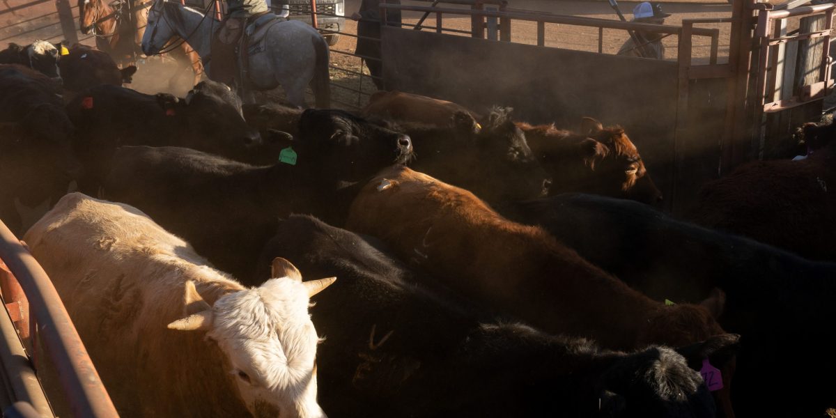 If you think beef is expensive now, just wait until next year when prices could soar nearly 60% If you think beef is expensive now, just wait until next year when prices could soar nearly 60%