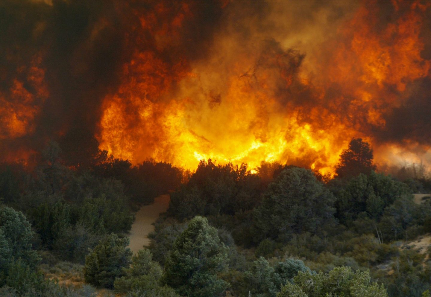 Ai2’s new OlmoEarth platform analyzes satellite data to map areas at risk of wildfire by tracking how dry vegetation has become.