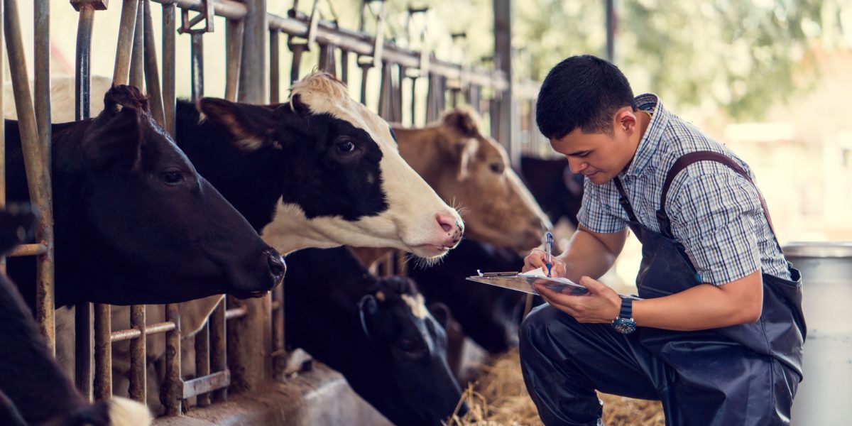 'People are completely worried': In a Nebraska town where one in three work at Tyson, a plant closure threatens everything | Fortune