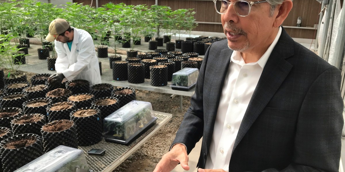 (Legal) weed kingpin Duke Rodriguez runs for governor in New Mexico | Fortune