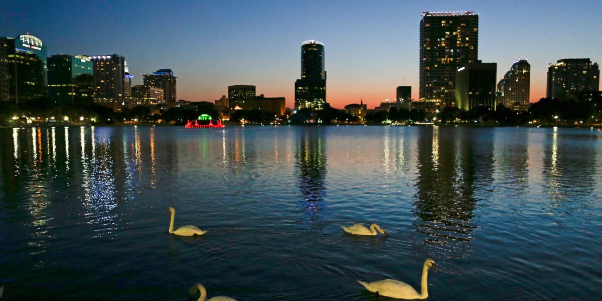 Orlando’s iconic swans are dead. Authorities suspect bird flu Orlando’s iconic swans are dead. Authorities suspect bird flu