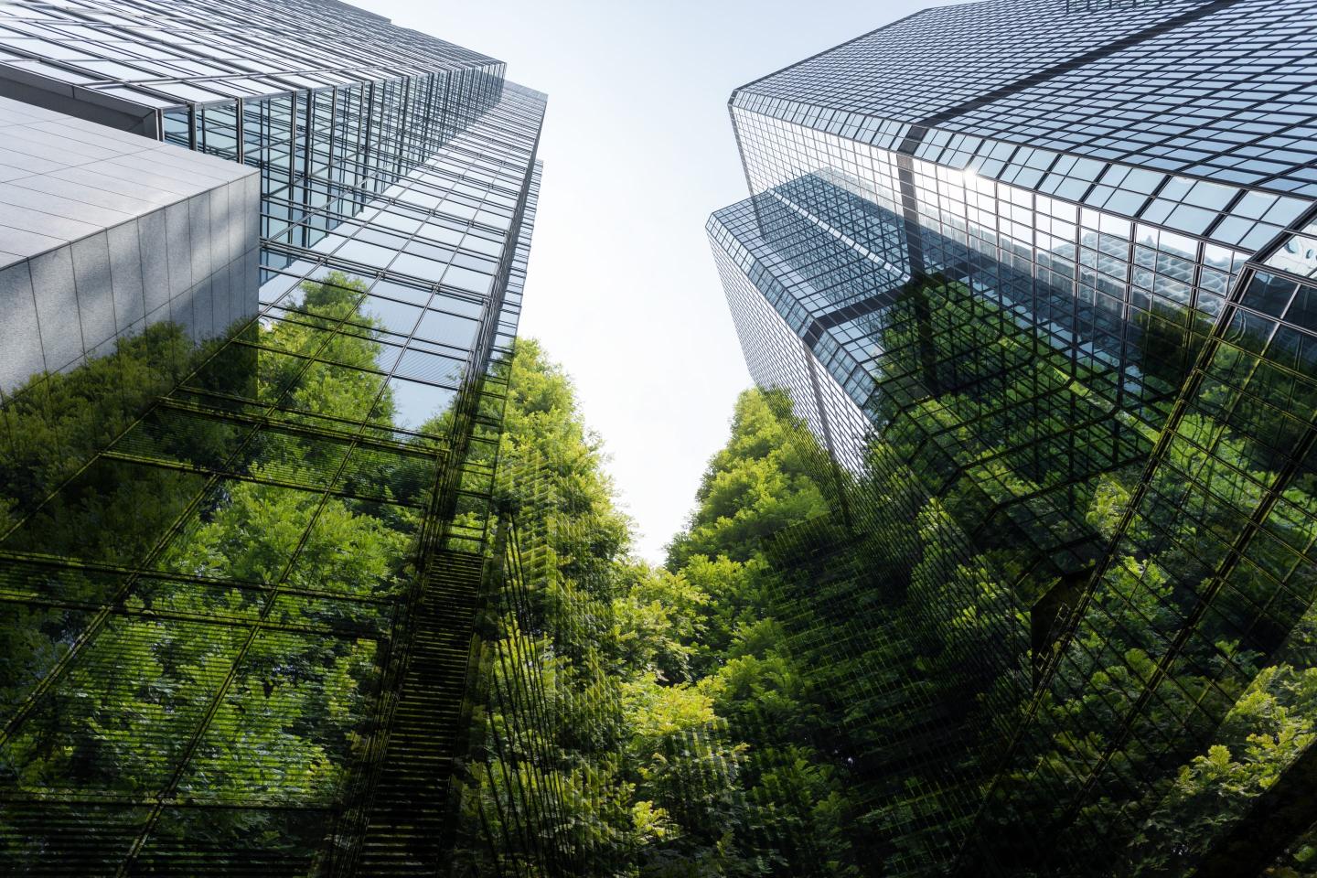 sustainability