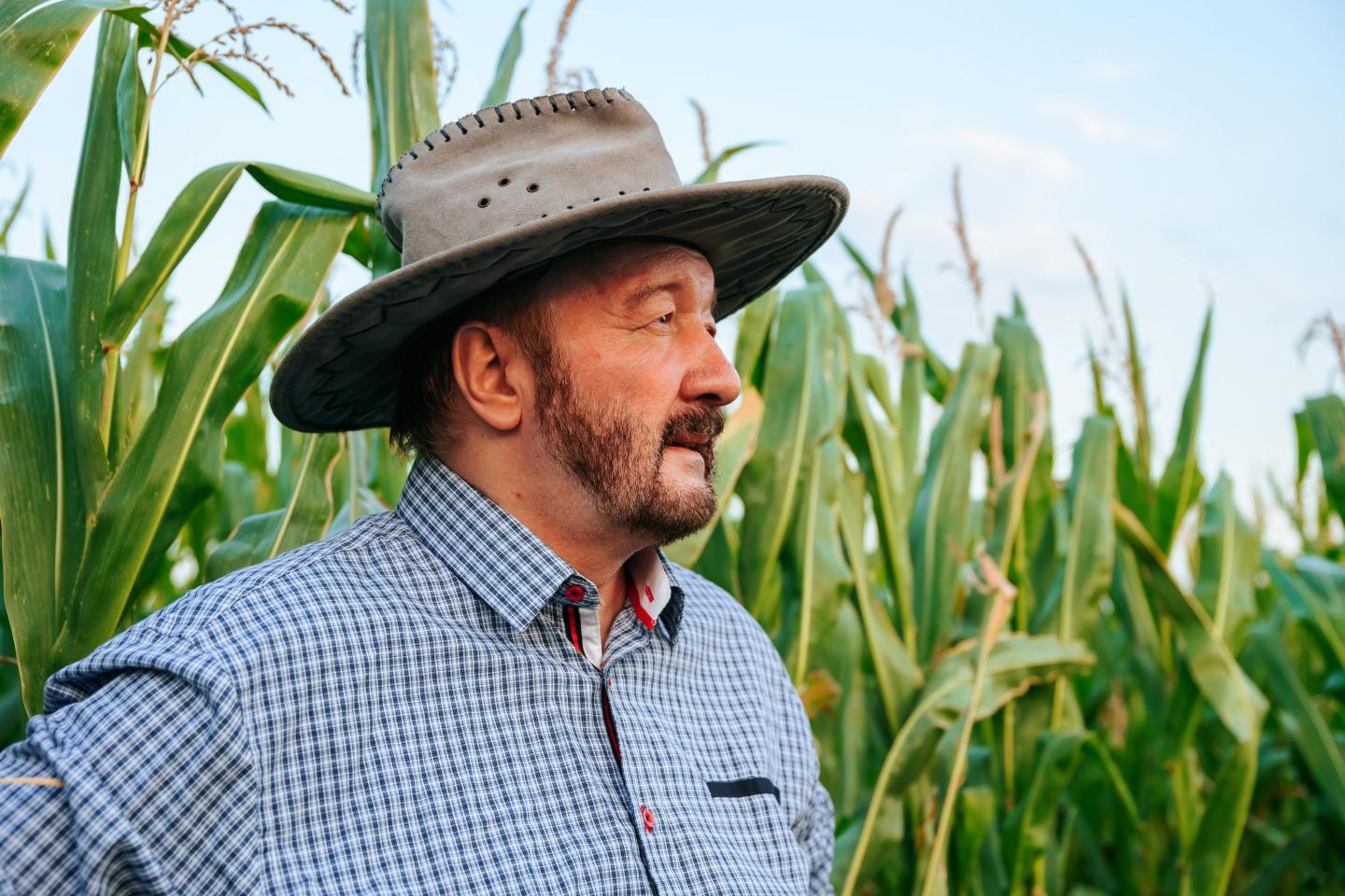 An older man with a wide-brimmed hat stands in a corn field
