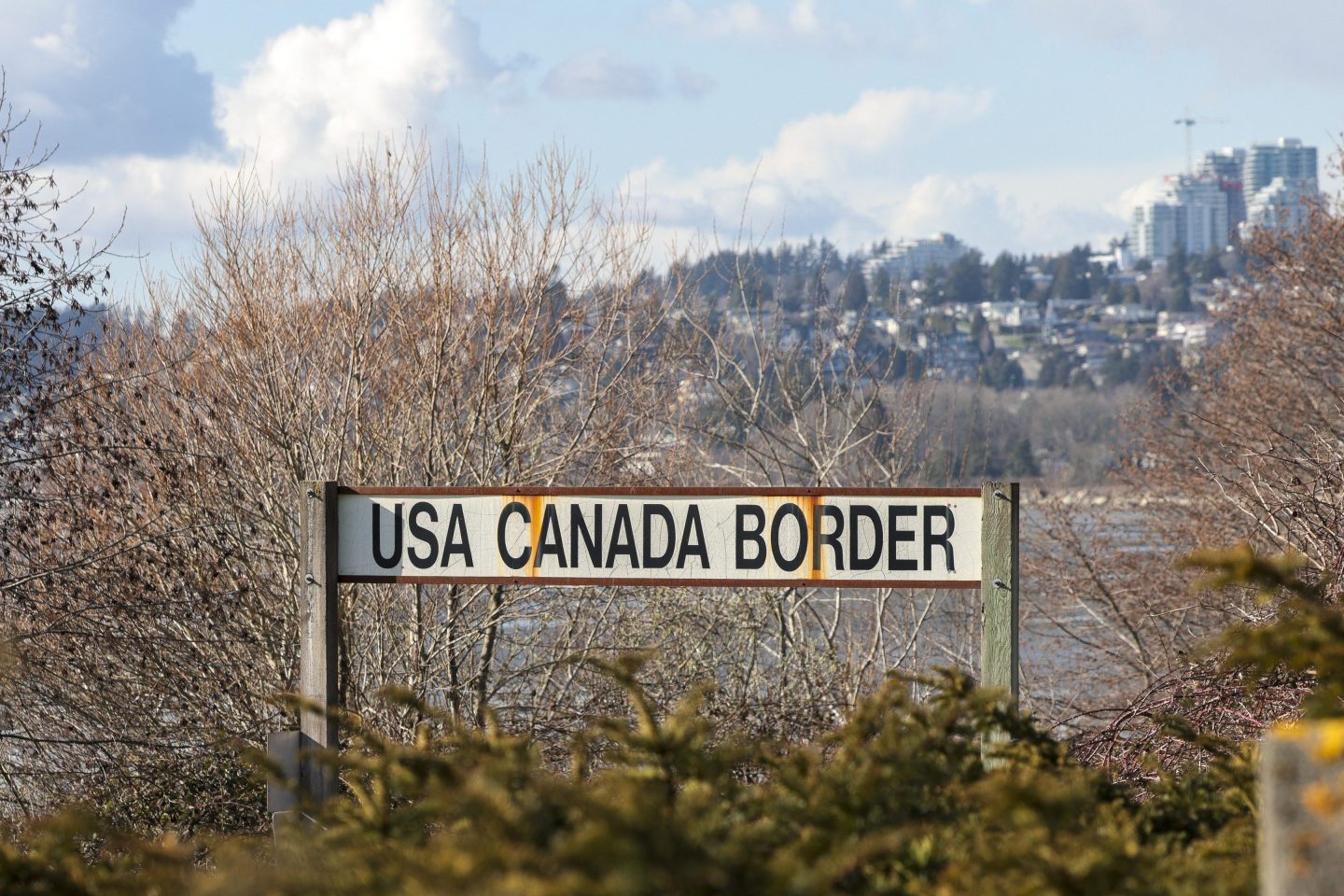 A sign showing the US-Canada border in front of a bunch of dead, barren trees in winter